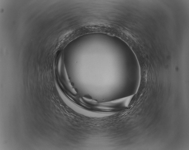 X0000067370965200603311141