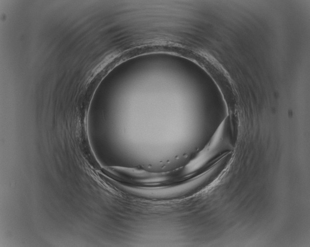X0000067370969200603311141