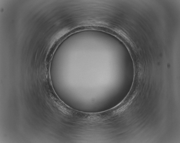 X0000067370974200603311141