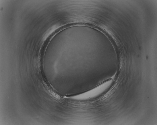 X0000067370975200603311141