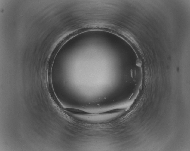 X0000067370984200603311141