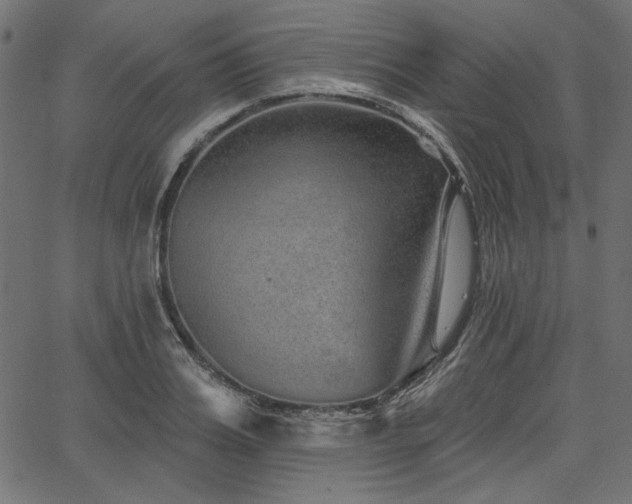 X0000067370987200603311141