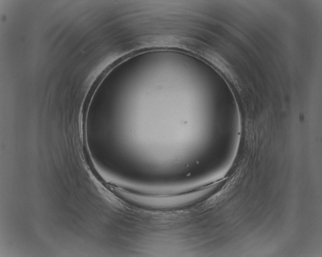X0000067370988200603311141