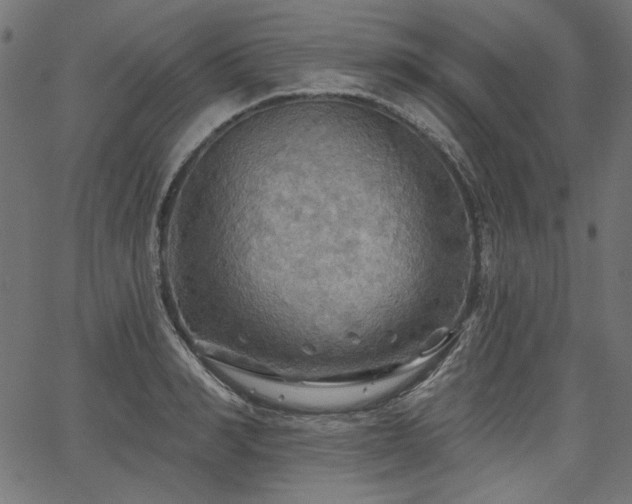 X0000067370990200603311141