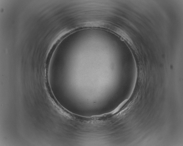 X0000067370992200603311141