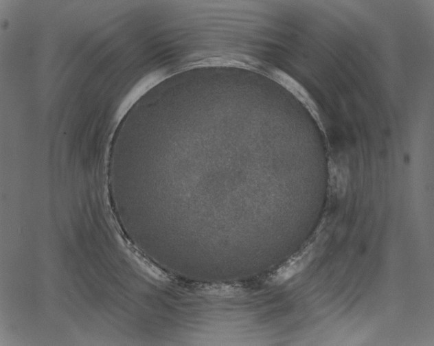 X0000067371002200603311141