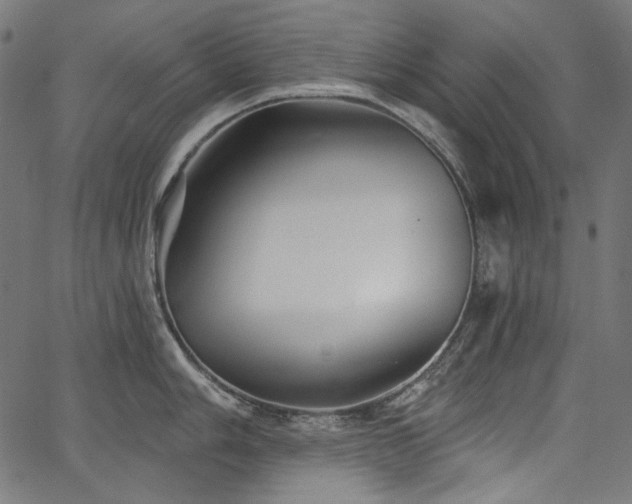 X0000067371006200603311140