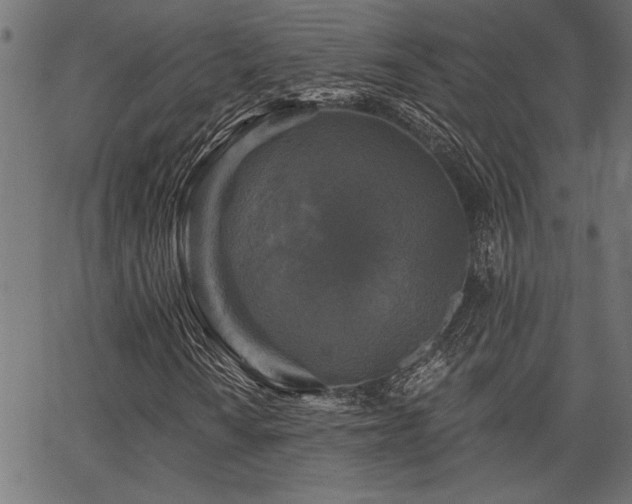 X0000067371010200603311140