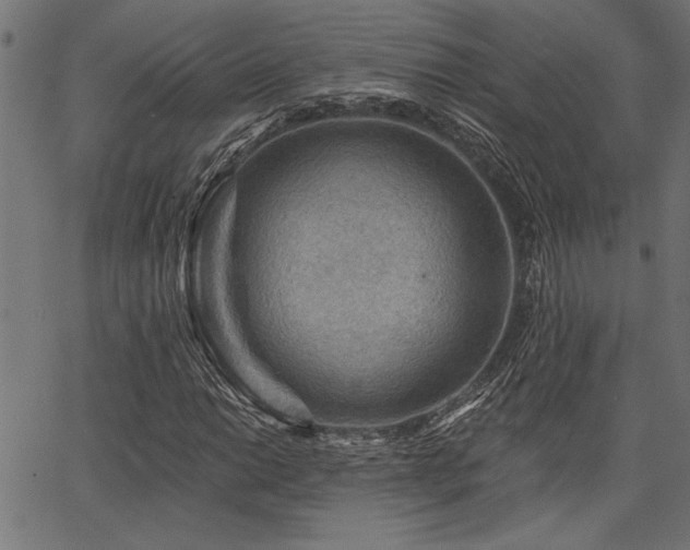 X0000067371014200603311140