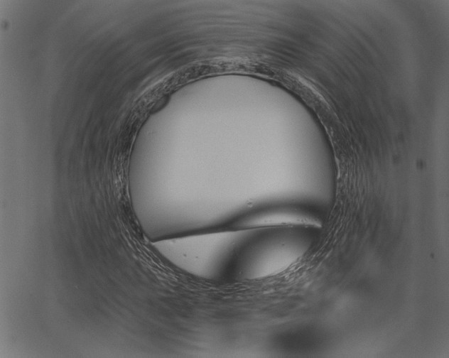 X0000067371015200603311140