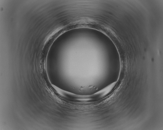 X0000067371018200603311140