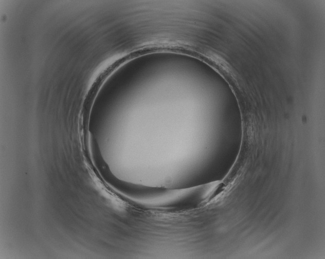 X0000067371030200603311140