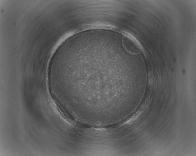 X0000067371043200603311140