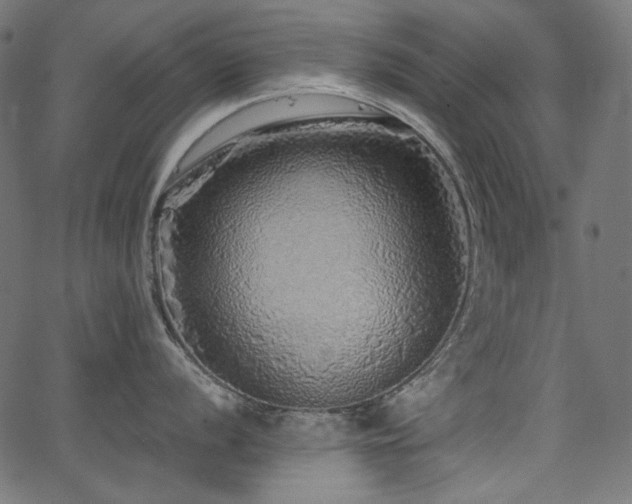 X0000067371056200603311140