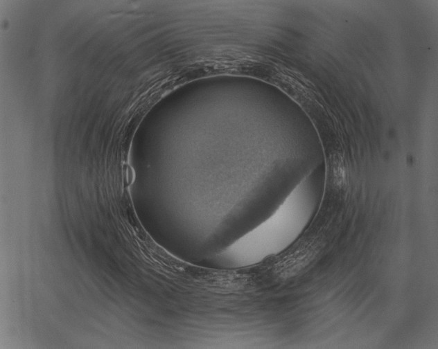 X0000067371060200603311140