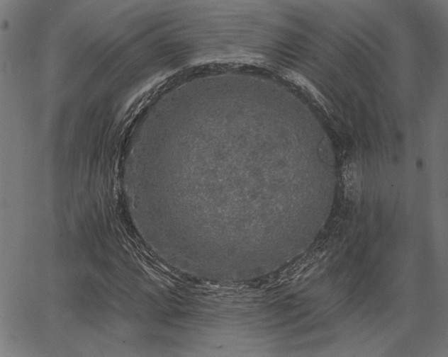 X0000067371064200603311139