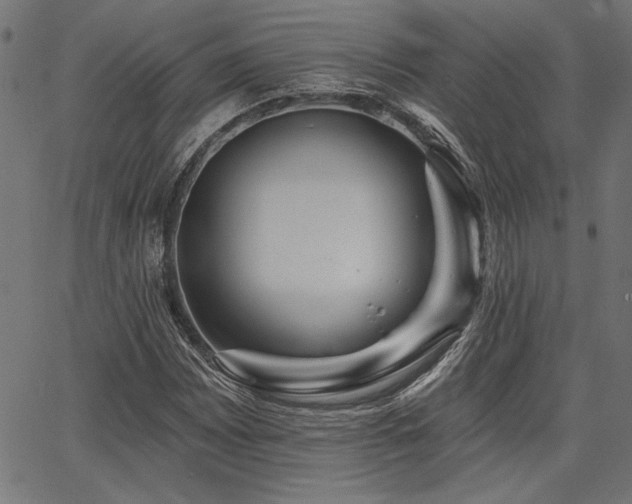 X0000067371065200603311139