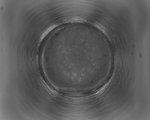X0000067371066200603311139