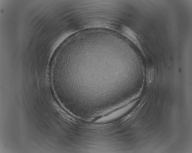 X0000067371068200603311139