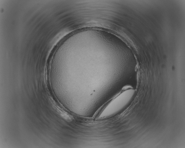 X0000067371076200603311139