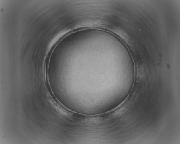 X0000067371078200603311139