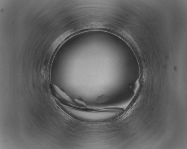 X0000067371081200603311139