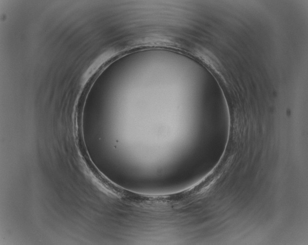 X0000067371082200603311139