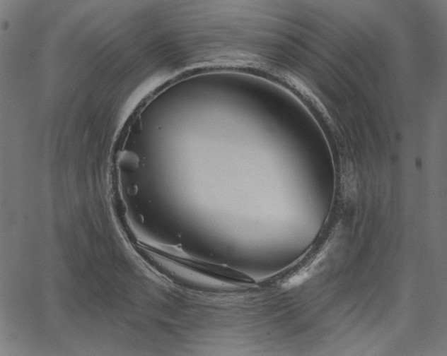 X0000067371085200603311139