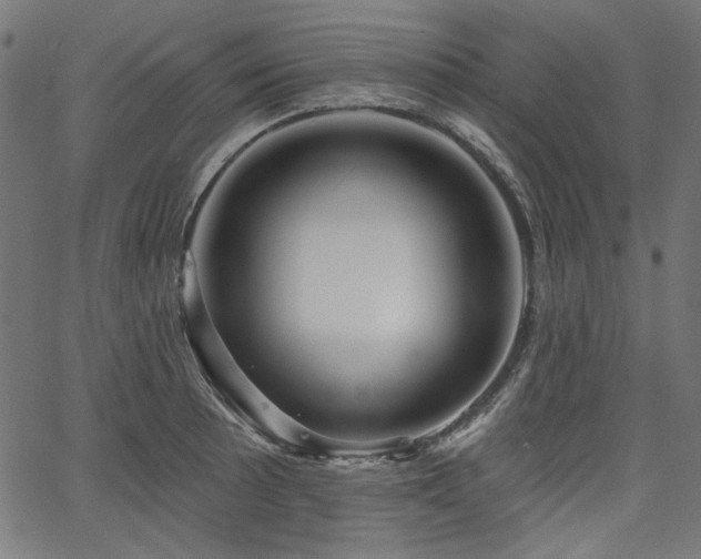 X0000067371089200603311139