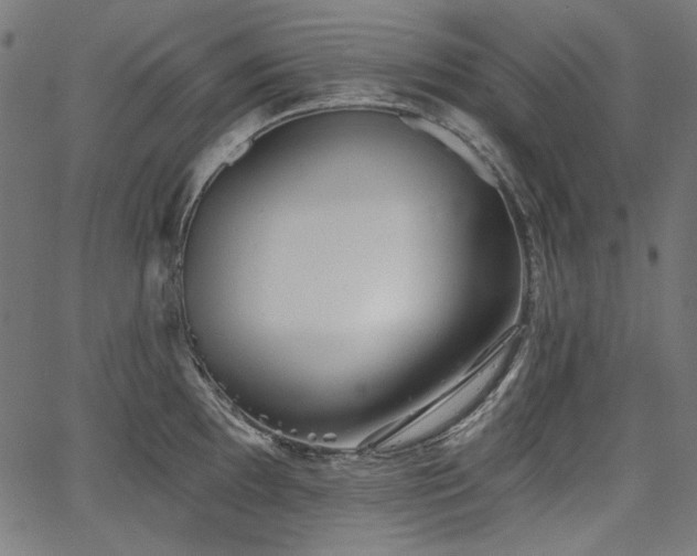 X0000067371097200603311139