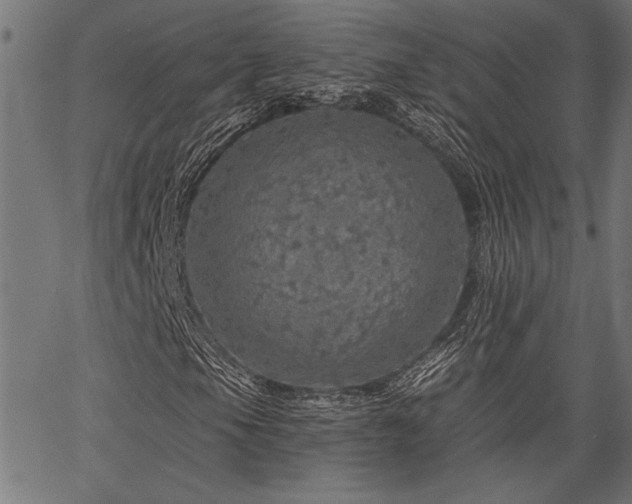 X0000067371105200603311138