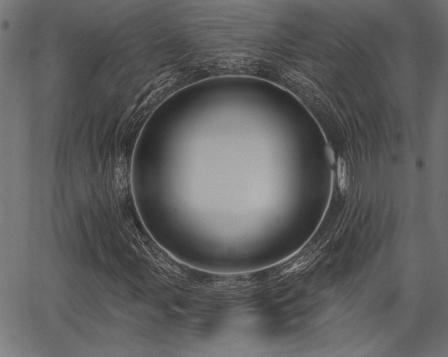 X0000067371107200603311138