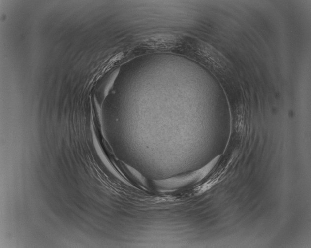 X0000067371108200603311138
