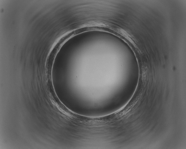 X0000067371116200603311138