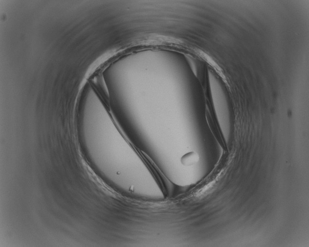 X0000067371122200603311138