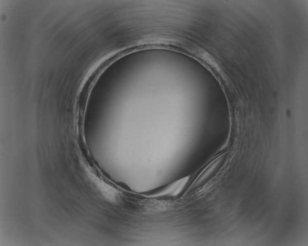 X0000067371124200603311138