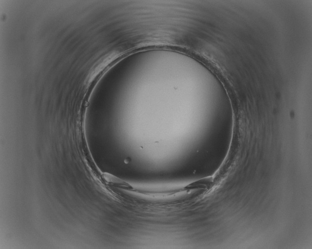 X0000067371129200603311138