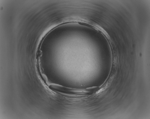 X0000067371144200603311139