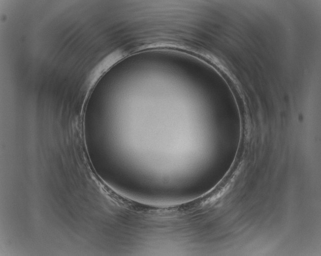 X0000067371145200603311139