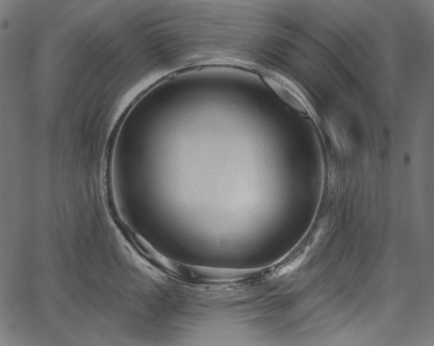 X0000067371149200603311139