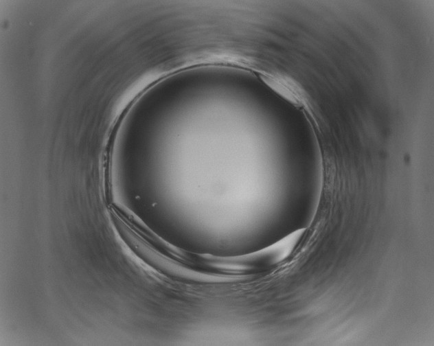 X0000067371151200603311139