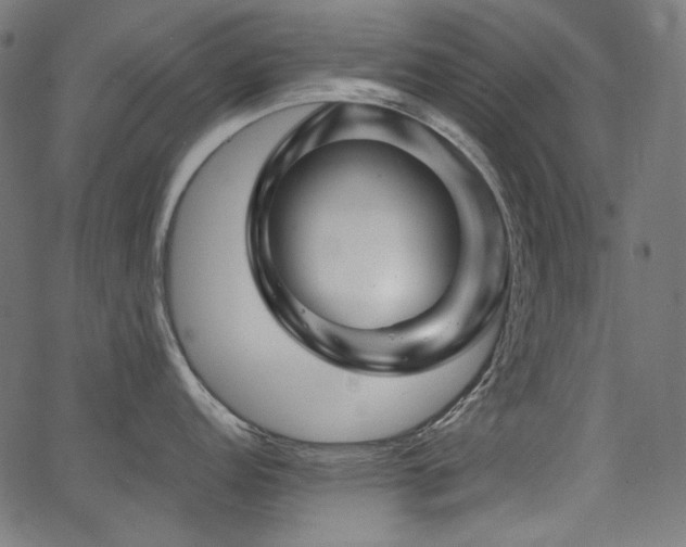 X0000067371152200603311139