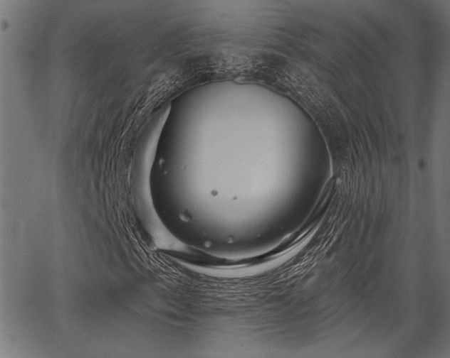 X0000067371153200603311138