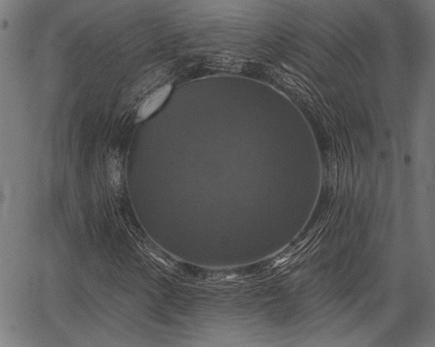 X0000067371154200603311138