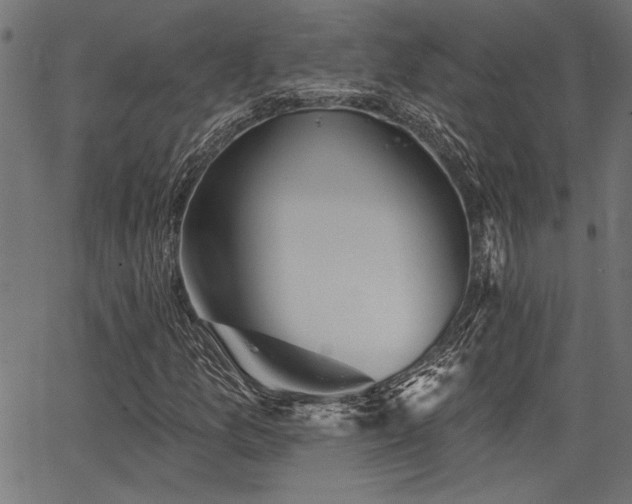 X0000067371157200603311138
