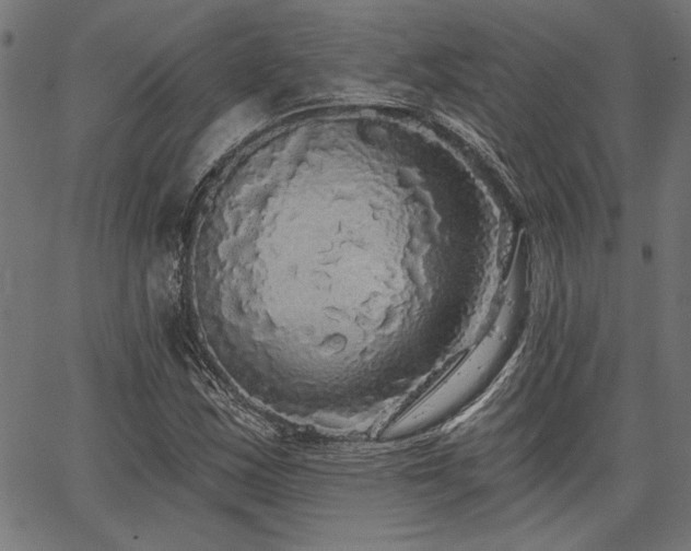 X0000067371163200603311138