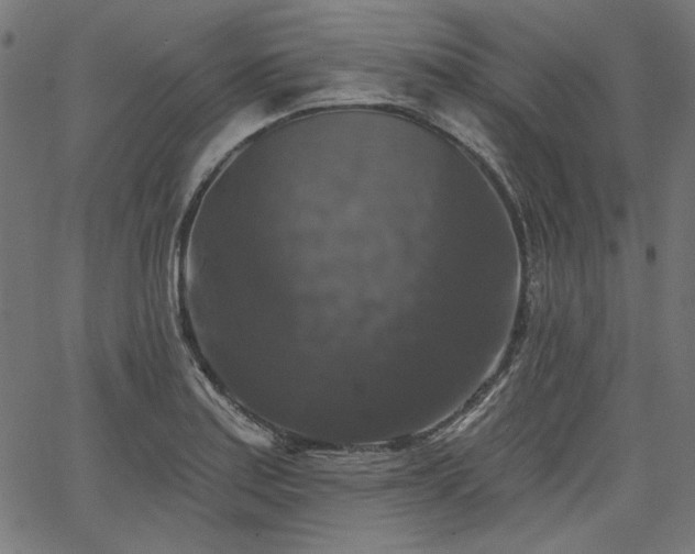 X0000067371179200603311138