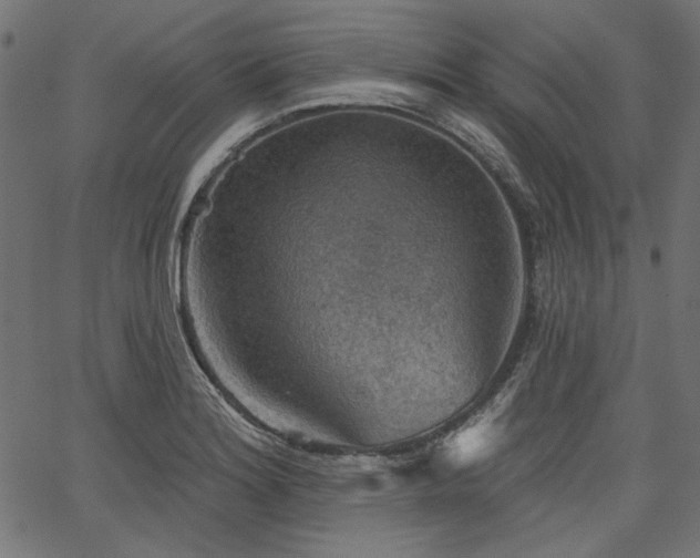 X0000067371180200603311138