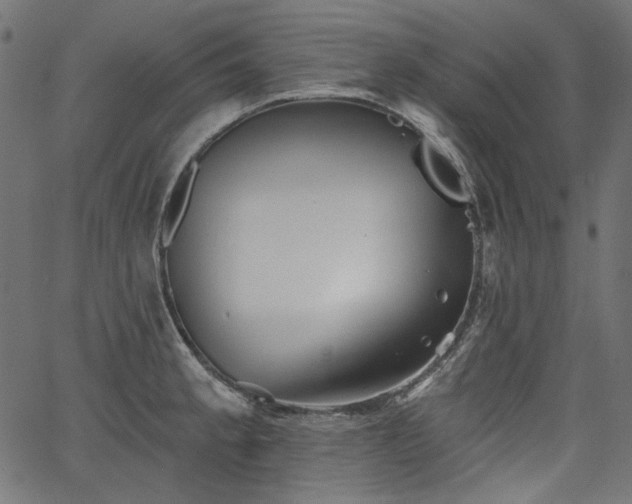 X0000067371189200603311137