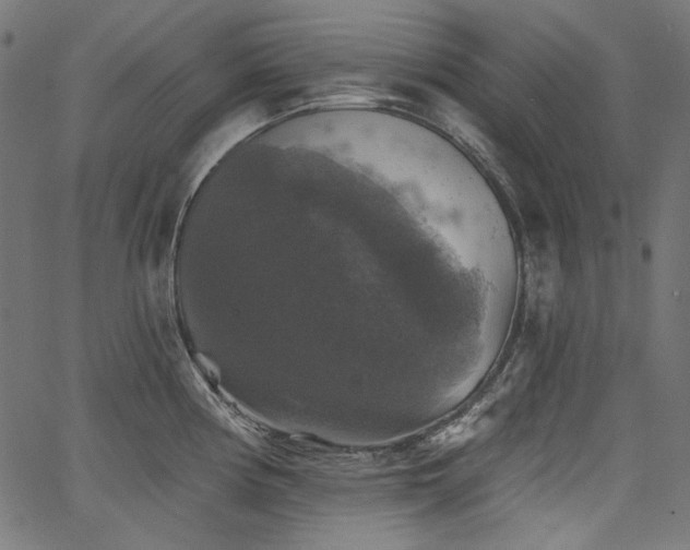 X0000067371194200603311137